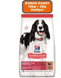 Hills - Hills Adult Lamb Kuzu Etli Orta Irk Yetişkin Köpek Maması 14kg