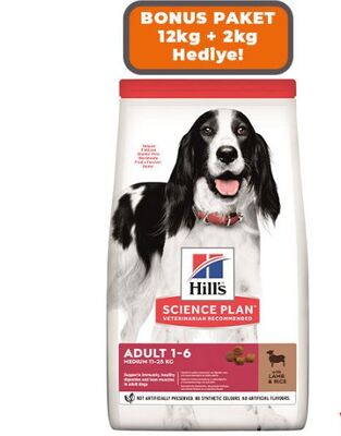 Hills Adult Lamb Kuzu Etli Orta Irk Yetişkin Köpek Maması 14kg - 1