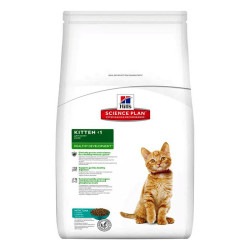 Hills Kitten -1 Healty Development Ton Balıklı Yavru Kedi Maması 2 Kg
