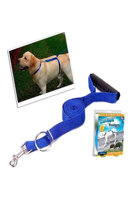 İnstant Köpek Yürüme Ve Eğitim Tasması - 1