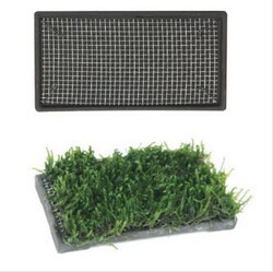 İsta - İsta Bitki Taban Seramik 6,5cm Kare