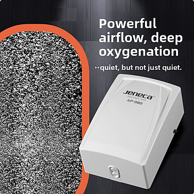 Jeneca AP-980 Hava Motoru - 6