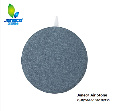 Jeneca Q40 Hava Taşı - 3
