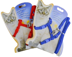 Kedi Göğüs Takım Tasması Mix Renk Papyonlu