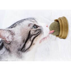 Kedi Naneli Catnip Oyun Topu 30gr - 2