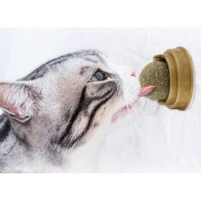 Kedi Naneli Catnip Oyun Topu 30gr - 2