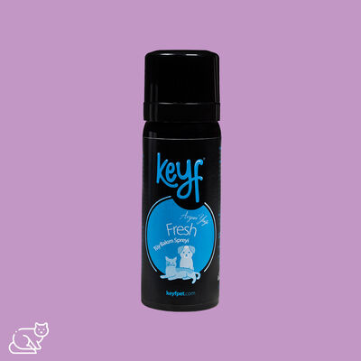 Keyf Kedi Köpek Tüy Bakım Spreyi Argan Yağlı 50ml - 1