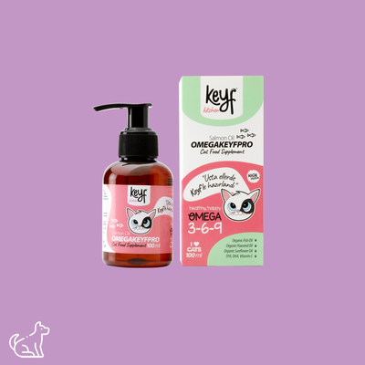 Keyf Kedi Somon Yağı 100ml - 1