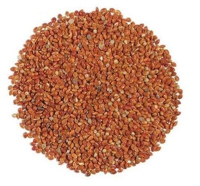 Kızıl Darı 20kg - 1