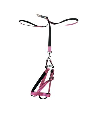  Köpek Göğüs Tasması ve Gezdirme 2,5CM 120 CM 