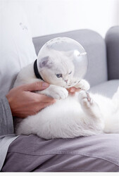 Lavimo Kedi Kafa Koruyucu - 2