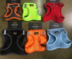 Lionpet Delikli Göğüs Tasması  XL