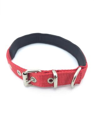 Little Friends 2,5cm Boyun Kalın Tasma  - 1