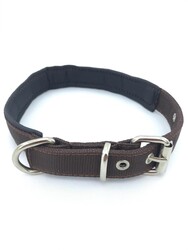 Little Friends 2cm Boyun Tasması  - 4