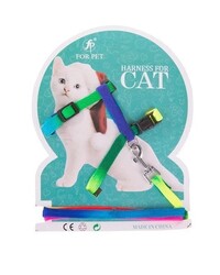 LNY2003 Lion Kedi Gökkuşağı Takım Tasma
