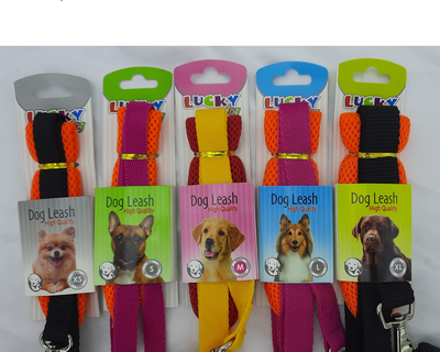 Lucky Köpek Gezdirme S - 1