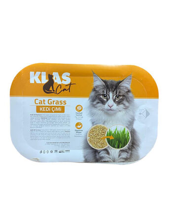Kedi Çimi - 1