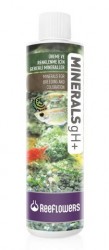 Reeflowers - Minerals gH+ 85 ml.