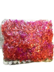 Plastik Akvaryum Bitkisi 15-21 cm.Mix 24lü - 5
