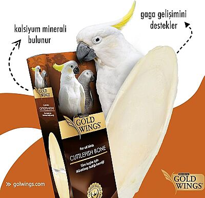 Premium Mürekkep Balığı Kemiği Büyük - 1
