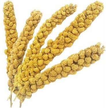 Quik Doğal Dal Darı 5kg - 1
