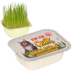 Pelagos - Quik Doğal Kedi Çimi Fileli 