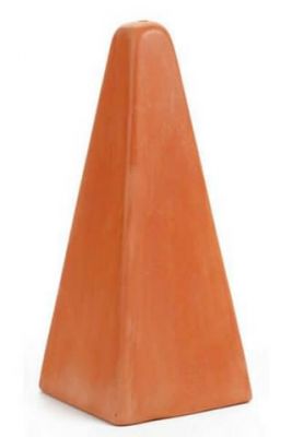 R-56 Melek Balığı Yavruluğu