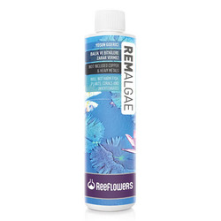 Reeflowers - RemAlgae - Yosun Giderici 250 ml