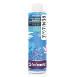 Reeflowers - RemAlgae - Yosun Giderici 500 ml