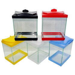 Fatih-Pet - Renkli Kapak Cam Betalık 19x14x19 cm