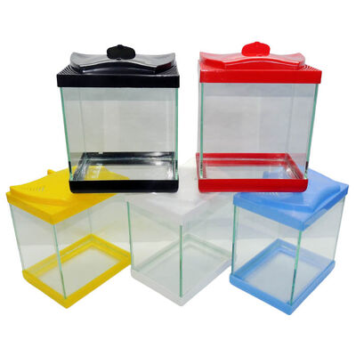 Renkli Kapak Cam Betalık 19x14x19 cm - 1