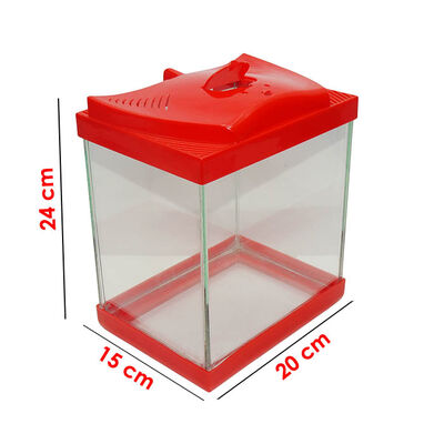 Renkli Kapak Cam Betalık 19x14x19 cm - 2