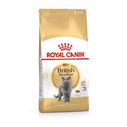 Royal Canin - Royal Canin British Shorthair Adult Yetişkin 4kg