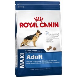 Royal Canin - Royal Canin Maxi Adult Büyük Irk Yetişkin Kuru Köpek Maması 15 Kg 
