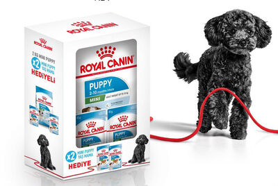 Royal Canin Mini Puppy 2kg + 2 Mini Puppy Yaş Mama Hediye - 1