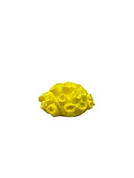 Sarı mercan dekor 8 cm x 8 cm x 3 cm