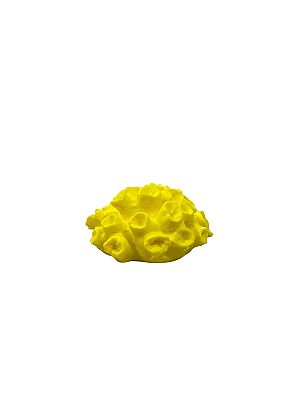 Sarı mercan dekor 8 cm x 8 cm x 3 cm - 1