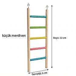 Küçük Merdiven kuş oyuncağı 