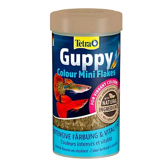 Tetra - Tetra Guppy Clour Mini Flakes Lepistes Pul Balık Yemi 250 ml