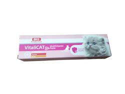 BioPetActive - BioPetActive VitaliCAT Paste Junior Yavru Kediler İçin Vitamin Macunu 100 ml