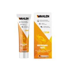 WAHLEN - Wahlen Cat Multıvıtamın Paste (100 Ml.)