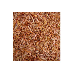 White Balance Gammarus 500g