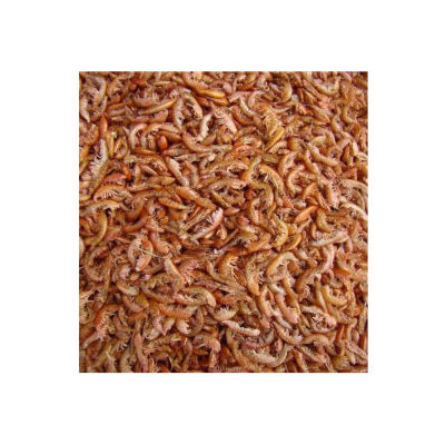 White Balance Gammarus 500g - 1